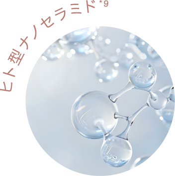 ヒト型ナノセラミド*6